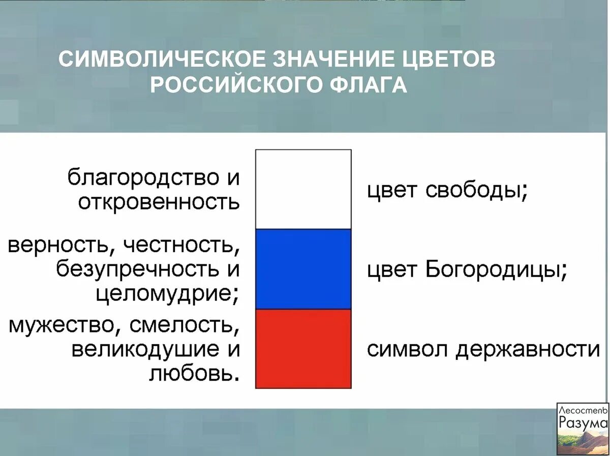 Что означают цвета российского флага. Флаг России цвета обозначение. Флаг РФ обозначение цветов. Значение цветов флага Российской Федерации. Что означают цвета российского флага официальная