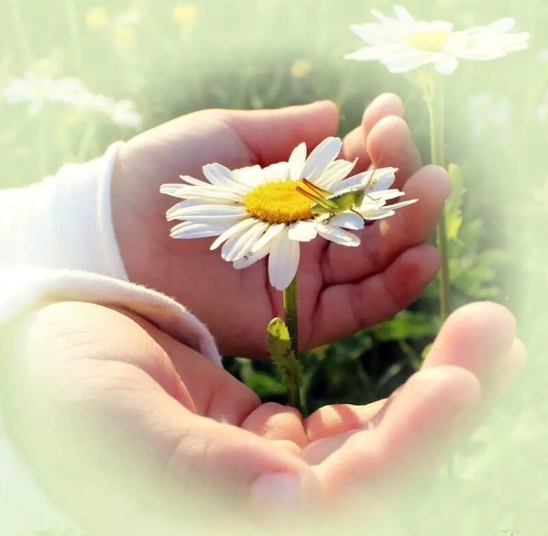 спасибо доюрыйчеловече. красивые открытки хорошему человеку. спасибо доюрыйчеловече. спасибо сердечко. красивые открытки с благодарностью.