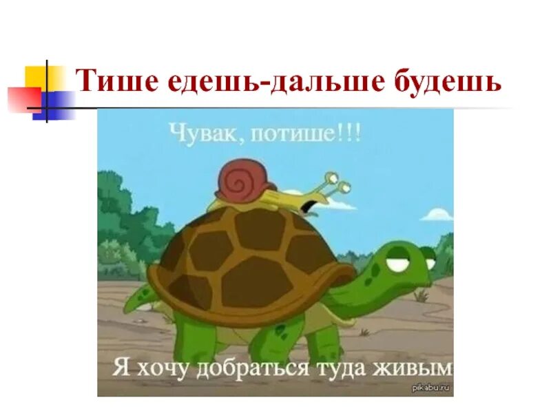 Тише едешь дальше будешь уместно в ситуации. Тише едешь дальше будешь. Пословица тише едешь дальше будешь. Тише елешь дальшебудешь. Тише едешь дальше будешь рисунок.