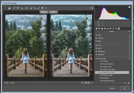 Raw presets