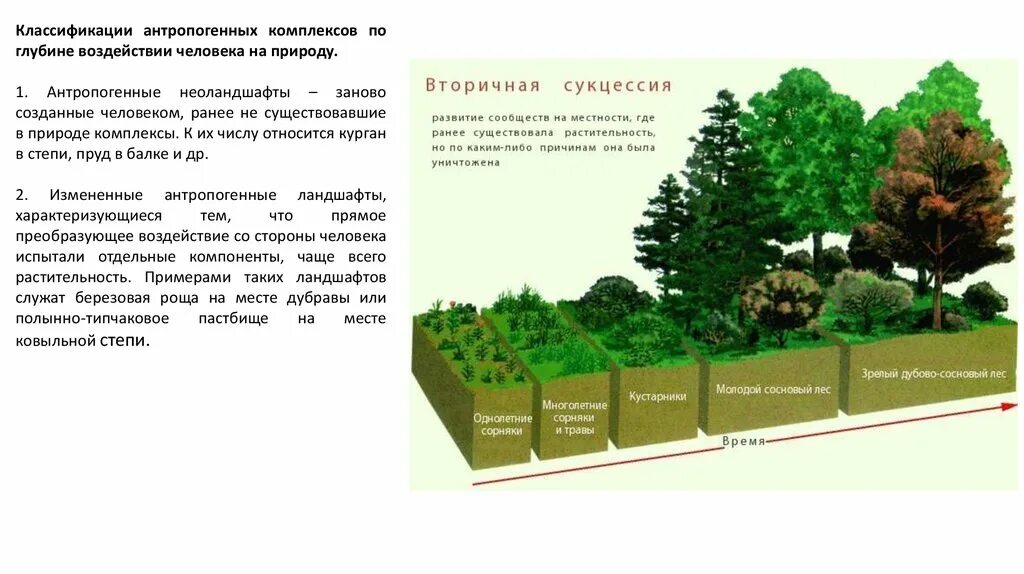 Каких антропогенных ландшафтов не существует. Устойчивость ландшафтов. Классификация ландшафтов. Классификация антропогенных воздействий на ландшафт. Антропогенные природные комплексы.