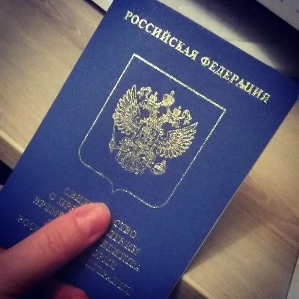 Временное убежище предоставляется. Временное убежище. временное убежище документ. свидетельство временное убежище.