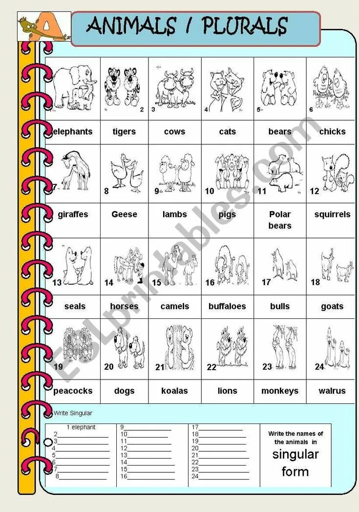 Write the plurals 1 child. Plurals 2 класс worksheet. plurals worksheets for kids исключения. plural forms for kids. plurals worksheets for kids 3 класс.