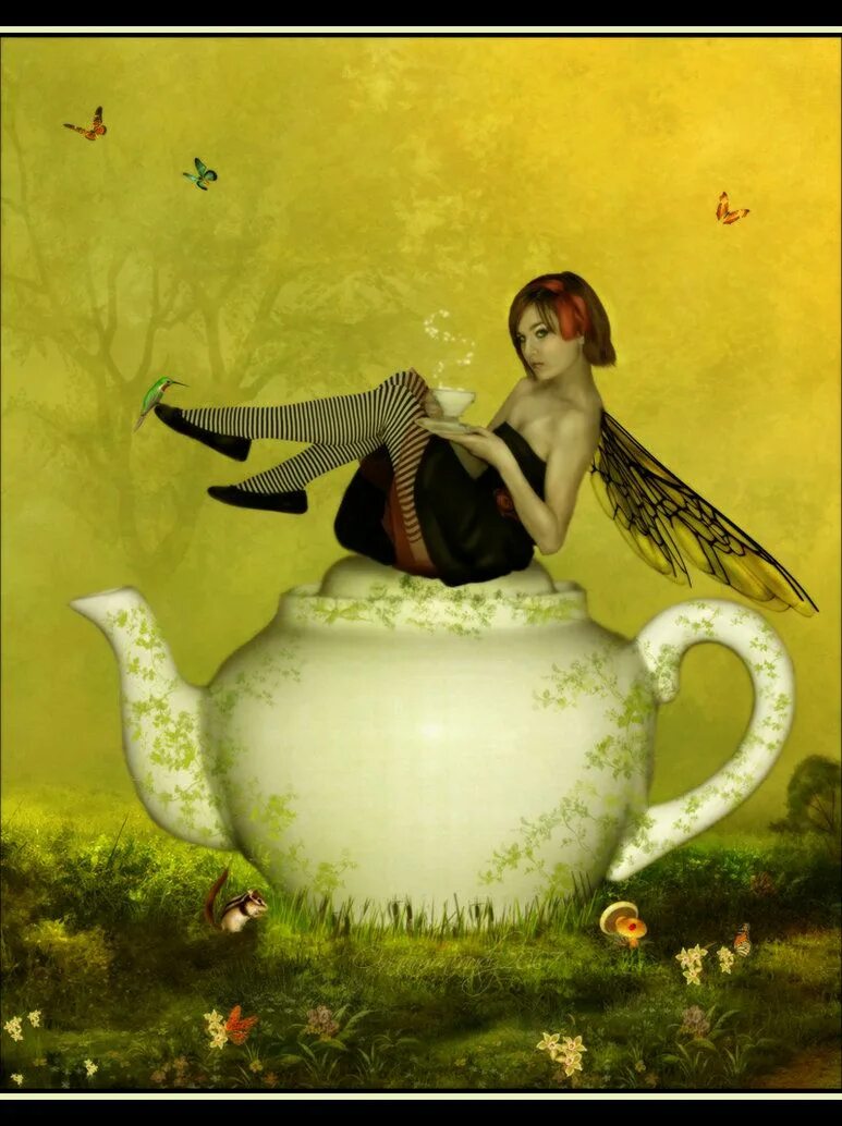 Fairy wait a moment