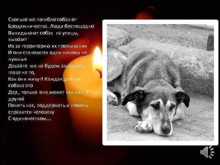 Собака ушла из жизни