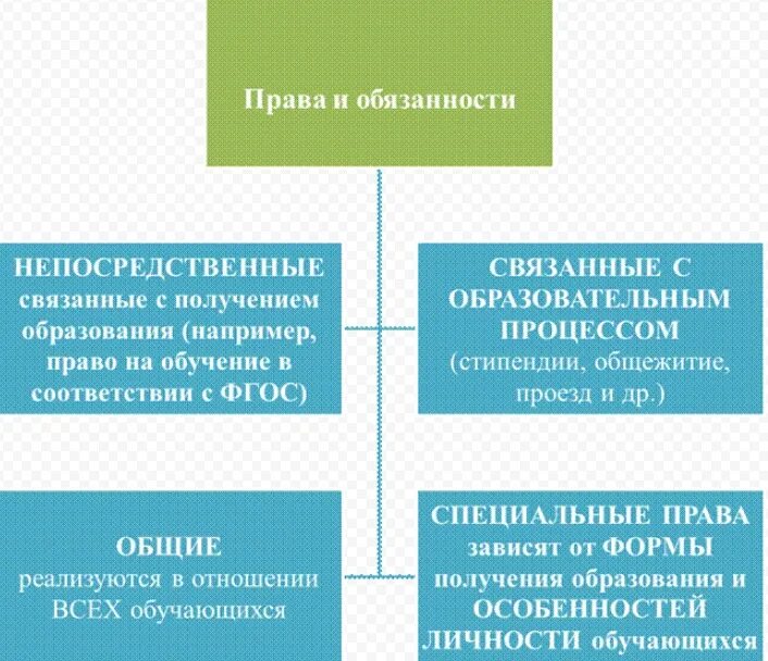 Обязанности студента. Право на образование в международном праве