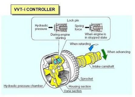 Vvt i