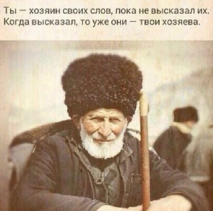 Красивые чеченские статусы. Чеченские статусы. Стихи на чеченском языке. Текст на чеченском. Чеченские стихотворения.