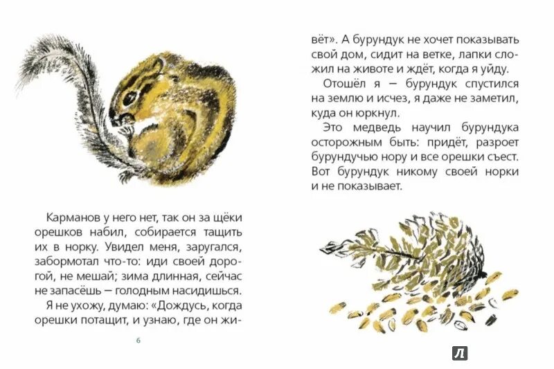 Снегирев хитрый бурундук. Книга хитрый бурундук. Снегирев бурундук. Снегирев хитрый бурундук. Снегирев г.