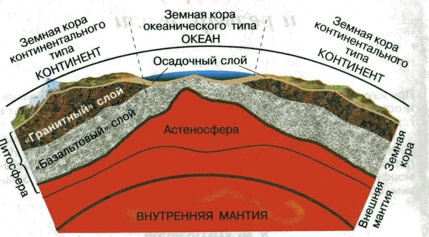 Срез география. Осадочный слой литосферы. Схема строения литосферы. Схема геологического строения литосферы земли.