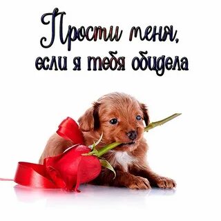 Извини р