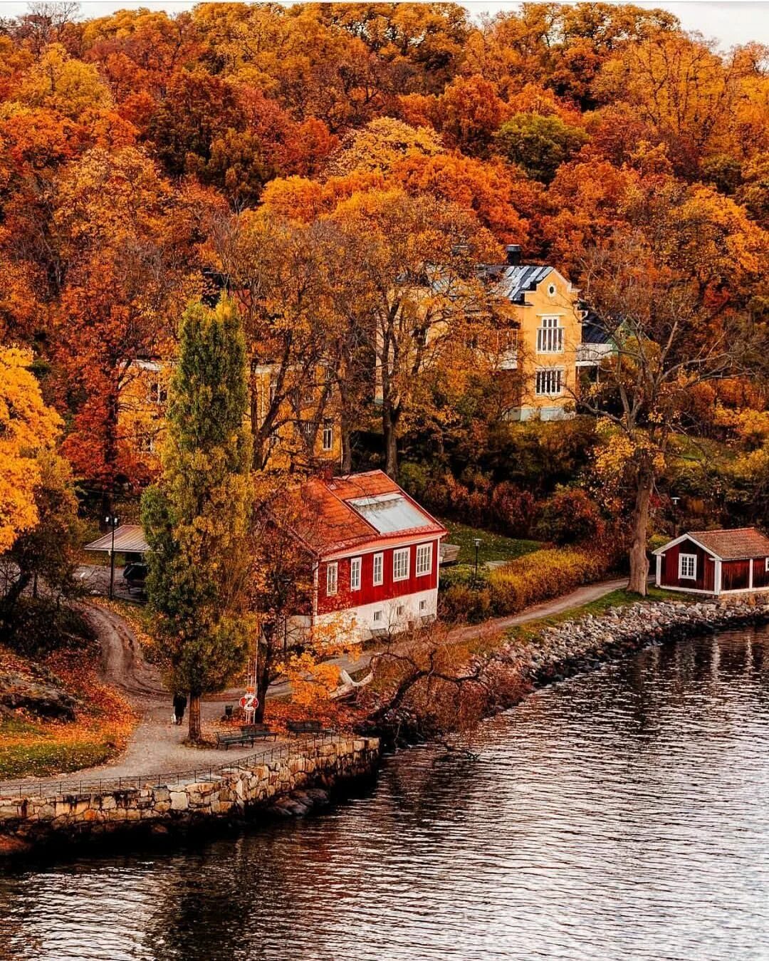 Красивые осенние места. Красивая осень. осенний вид. красивые места осенью.
