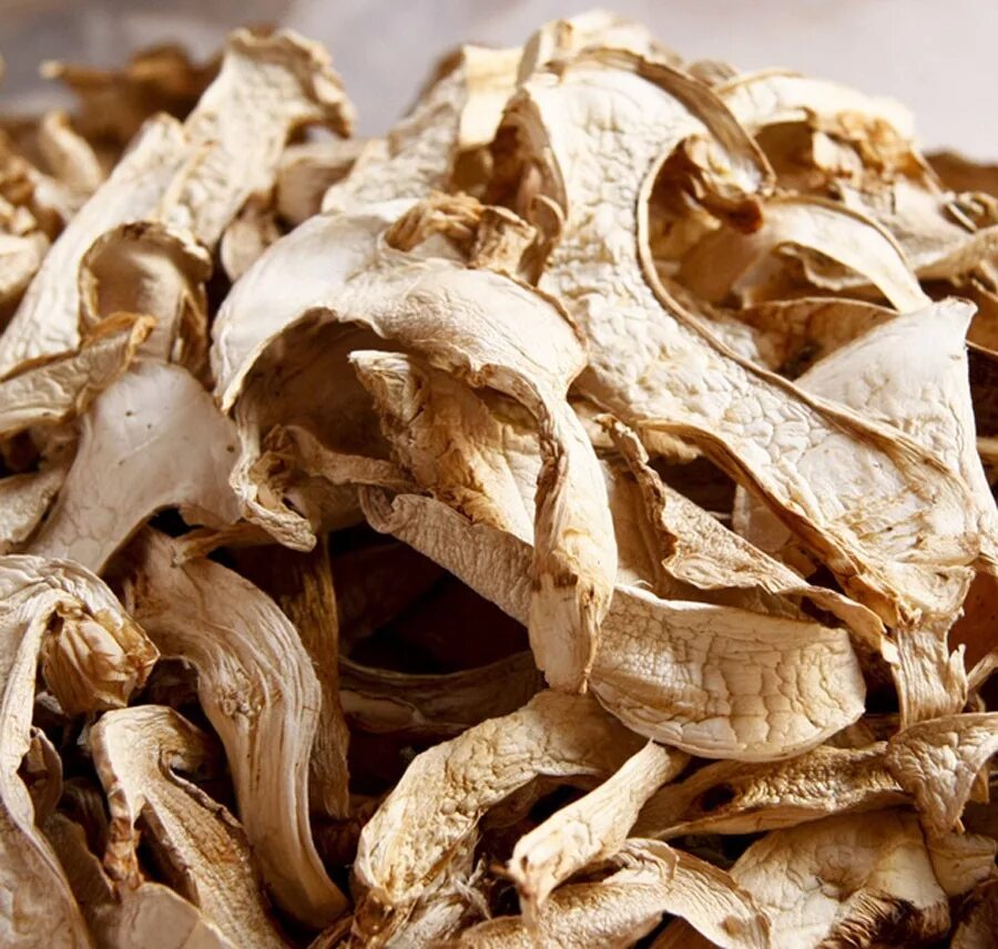 Сушка грибов на веревочке. Сушка грибов в электросушилке. Сушка грибов в электросушилке. Сушить грибы на зиму. Сушить грибы на зиму.