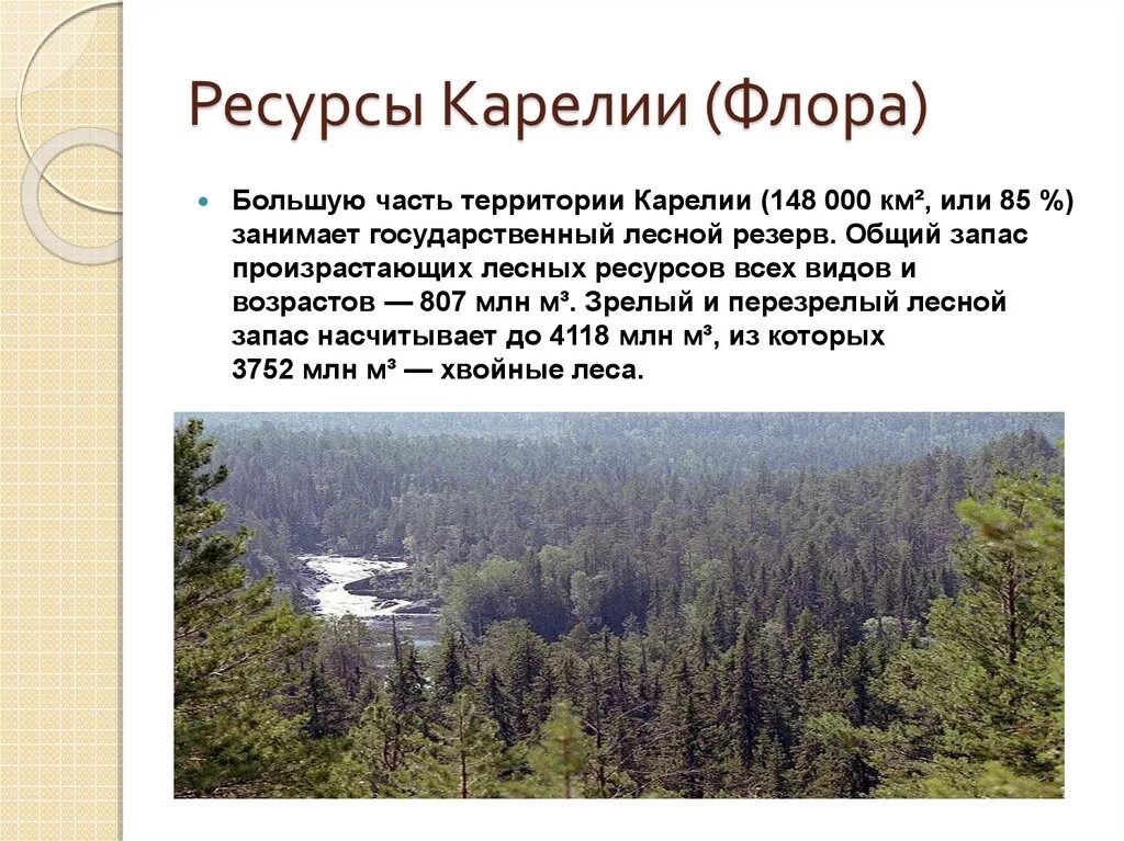 Ландшафтные ресурсы Республики Карелия. Природные богатства Карелии. Природные богадство Карелии. Лесные ресурсы Карелии. Особенности природно ресурсной базы карелии