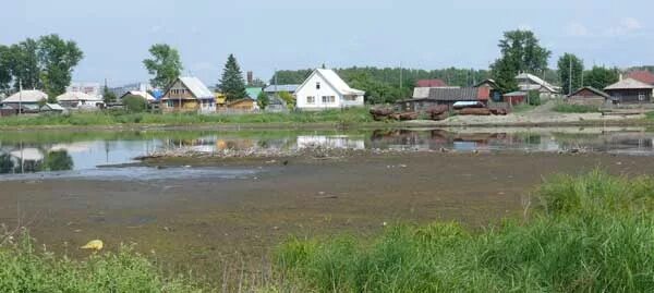 Погода в лебяжье алтайский край егорьевский. Лебяжье Алтайский край. Озеро Лебяжье Барнаул. Алтайский край Павловский район село Лебяжье. Лебяжье Красногорский район Алтайский край.