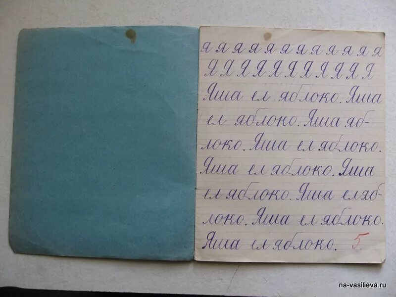 книги на руси. как выглядели 1 письменно. берестяная грамота картинки. писцовые книги. письменность на бересте.