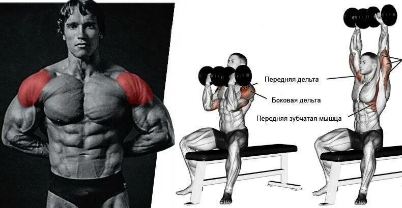 Фронтальные махи