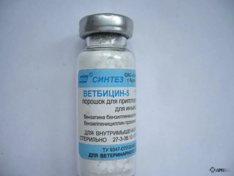 Бициллин 3 для животных. Антибиотик для животных ветбицин 5. Бициллин 3 ветбицин. Ветбицин 4. Бициллин 5 раствор.