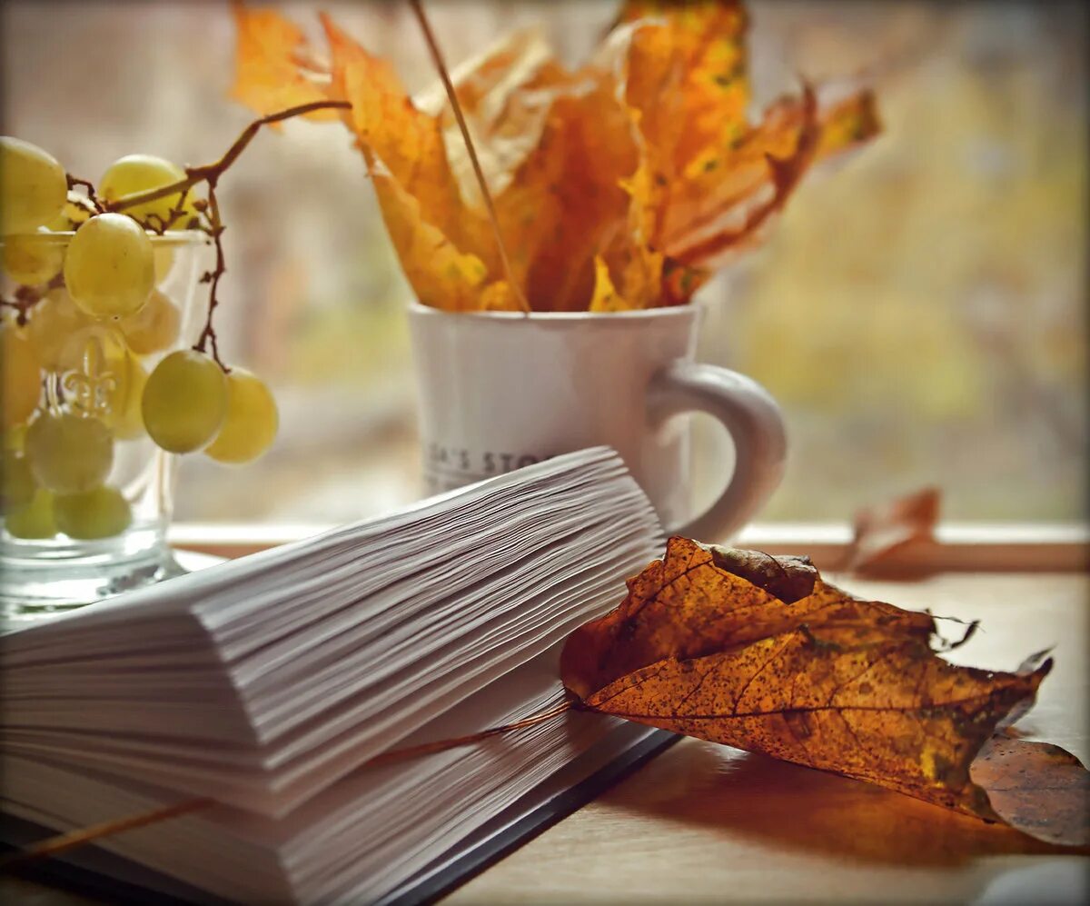Осеннее утро. Осенний натюрморт с книгой. Книги осеннего настроения. Ясного осеннего утра.