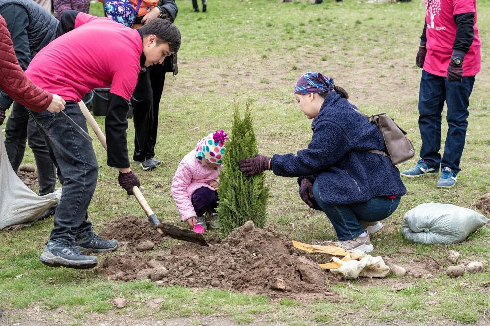 Посадили дерево в честь. Посадка деревьев. Школьники сажают деревья. Посади дерево. Акция посади и вырасти дерево.