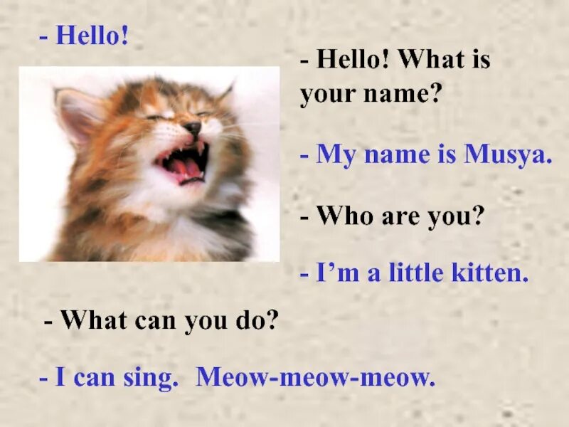 What is your name to. What is your name. по-английски what is your name. hello what is your name. муся по английскому.
