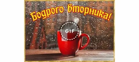 Доброе дождливое утро вторника