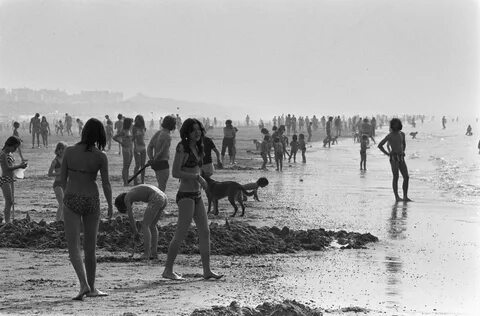 Thumbnail for version as of 14:08, 29 March 2018. 