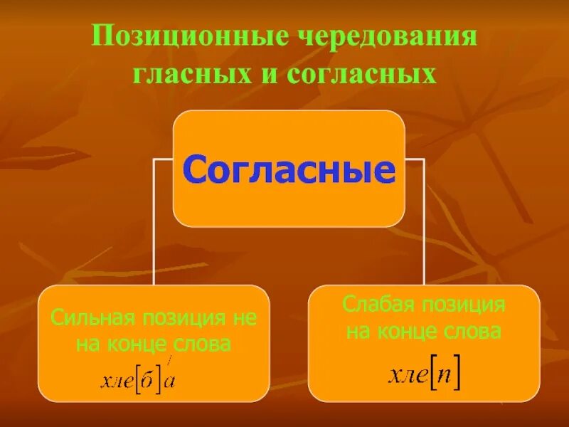 Сильные и слабые позиции согласных. Позиционные чередования гласных и согласных звуков. позиционное чередование гласных и согласных. согласные в сильной позиции. позиционное чередование звуков.