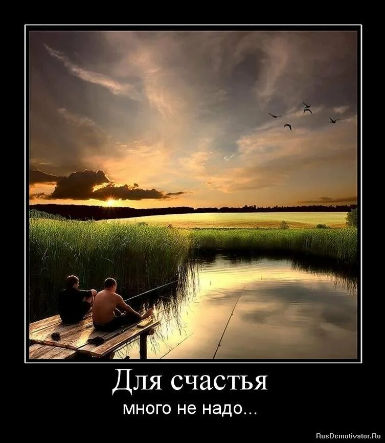 Счастья многого не бывает