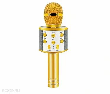 Микрофон ws 858