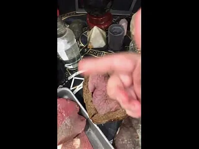 Тухлое мясо 2011