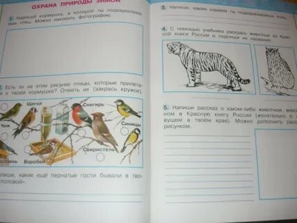 Нарисуй или наклей иллюстрации подпиши их