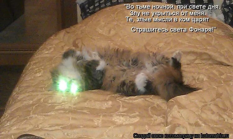 корпус синестро клятва. во тьме ночной при свете дня стих. во тьме ночной при свете дня злу не. шутки про\ торренты. во тьме ночной при свете.