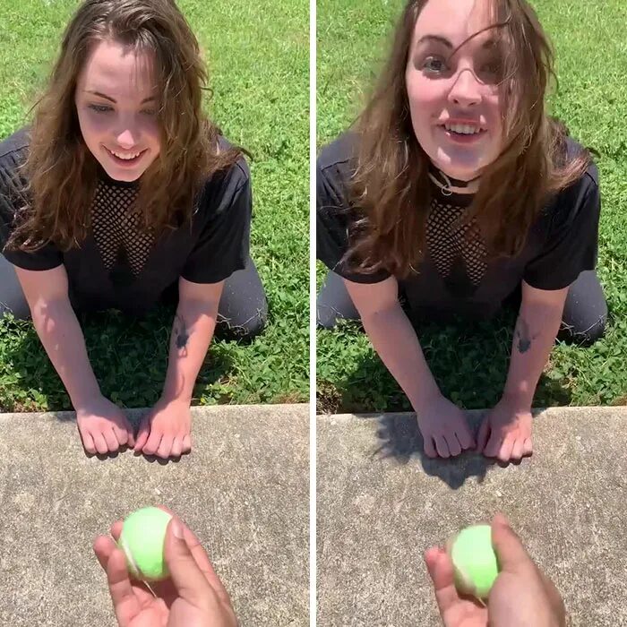 Комната для собак джена марблс. Jenna dog. Собаки дженны марблс бани. Jenna dog. Чихуахуа дженны марблс.