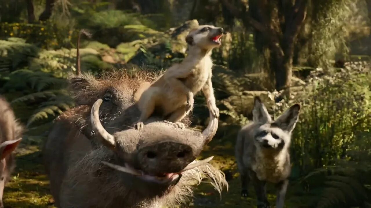 The lion tonight песня. Где то в джунглях дремучих джунглях сегодня лев уснул. лев в джунглях видео. the mighty jungle дтв. где то в джунглях бескрайних джунглях сегодня лев уснул.