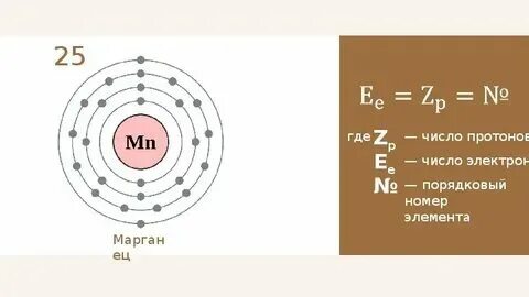 Сколько протонов в атоме марганца