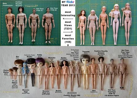 Comparison photos of dolls and 1/ 6 scale figures - My Flickr Year 2013 tag...