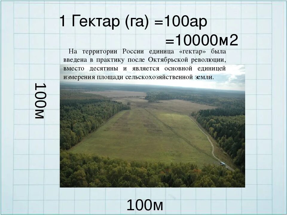 Сколько квадратных метров в поле. 1 гектар это 100 квадратных метров. сколько квадратных метров в 1 гектаре. сколько квадратных метров в 1 гектаре земли. 1га сколько соток земли.