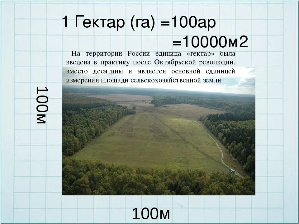 1 Гектар это 100 квадратных метров. Сколько квадратных метров в 1 гектаре. Сколько квадратных метров в 1 гектаре земли. 1га сколько соток земли.