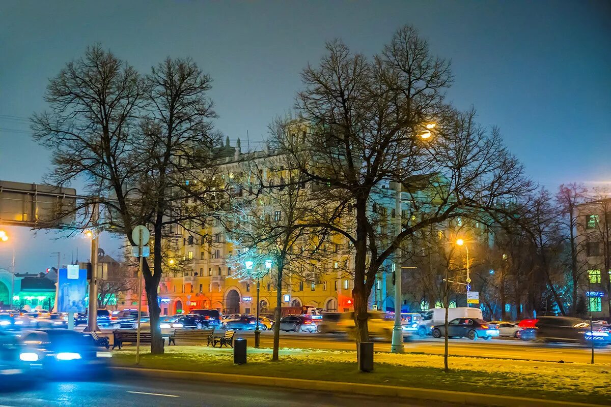 Москва сейчас деревья. Деревья Москвы. Деревья на улицах Москвы. Ленинградский проспект ночью.