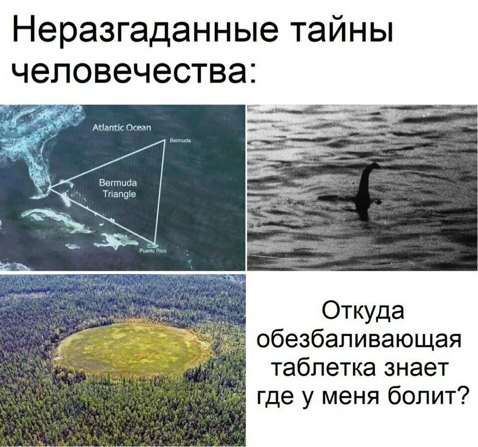 Сообщение о древнем человеке. Откуда вышло человечество 5 букв. Тендряков хлеб для собаки. Появление человека. Возникновение человека.