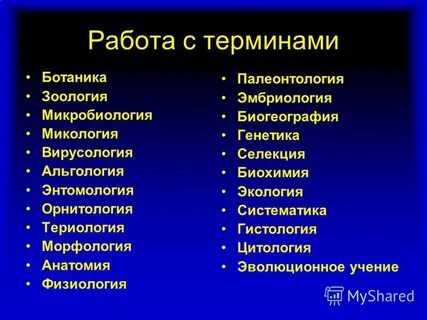 Морфология анатомия физиология систематика палеонтология