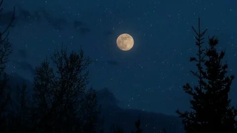 Когда на запад бледная луна пастернак