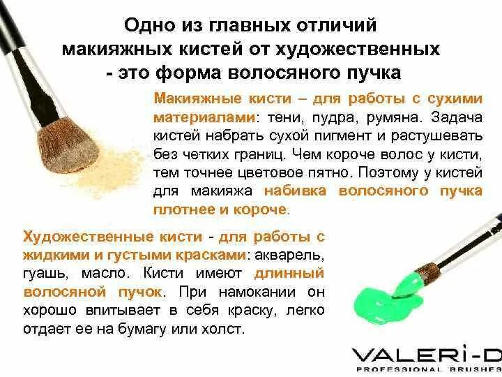 Кисточка для рисования. Форма пучка кисти. Кисти альбатрос имитация белки. Кисточка для рисования. Кисть художественная короткий ворс.