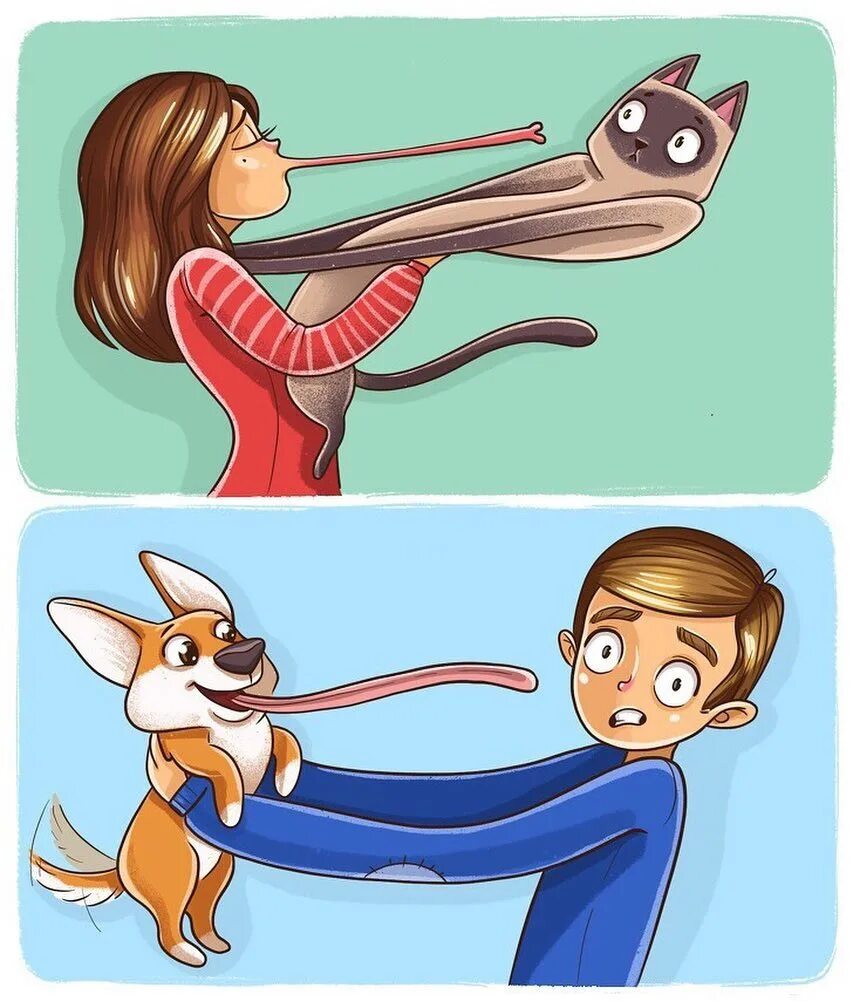 Эмоции человека и животных. Приколы про собак и собачников. Составь рассказ чем человек отличается от животных. Собака и человек отличия. Кошатники и собачники.