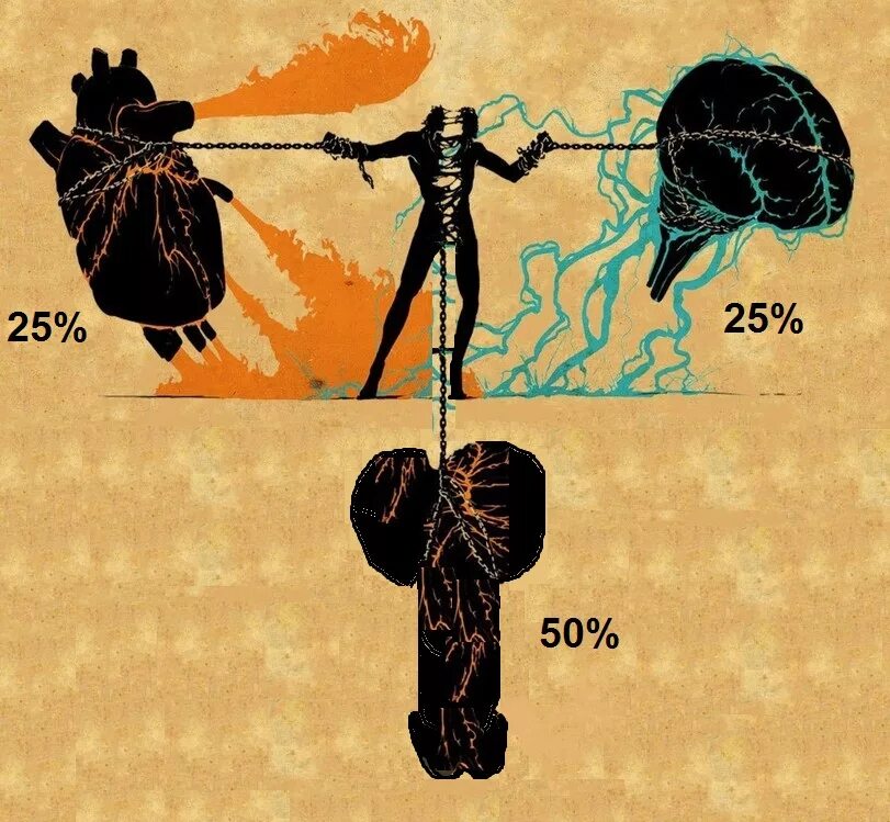 Сердце и разум. Мозг и сердце. Сердце или разум. Борьба сердца и разума. Против твоей воли