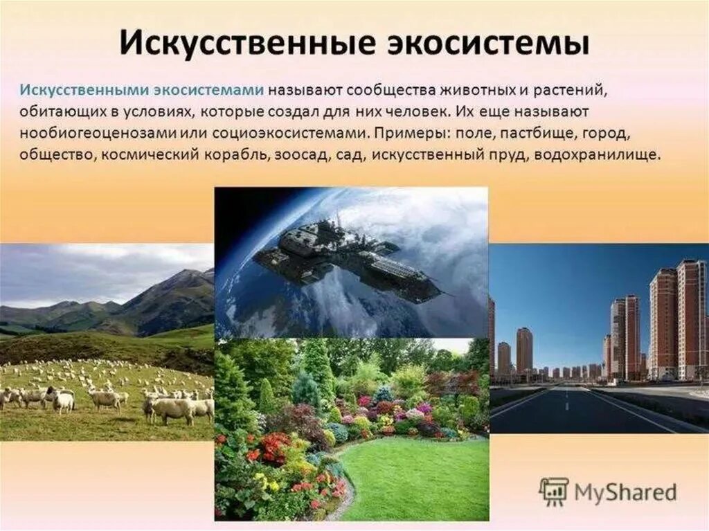 Искусственные объекты природы. Искусственное эко. Искусственные экосистемы. Искусттвннные экосистема. Искусственные природные сообщества.