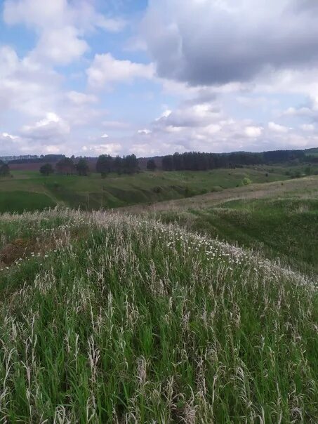 Село редькино московская область. Деревня спицино тульская область. Кураб городище. Дачный посёлок тверца. Село редькино орловская область.