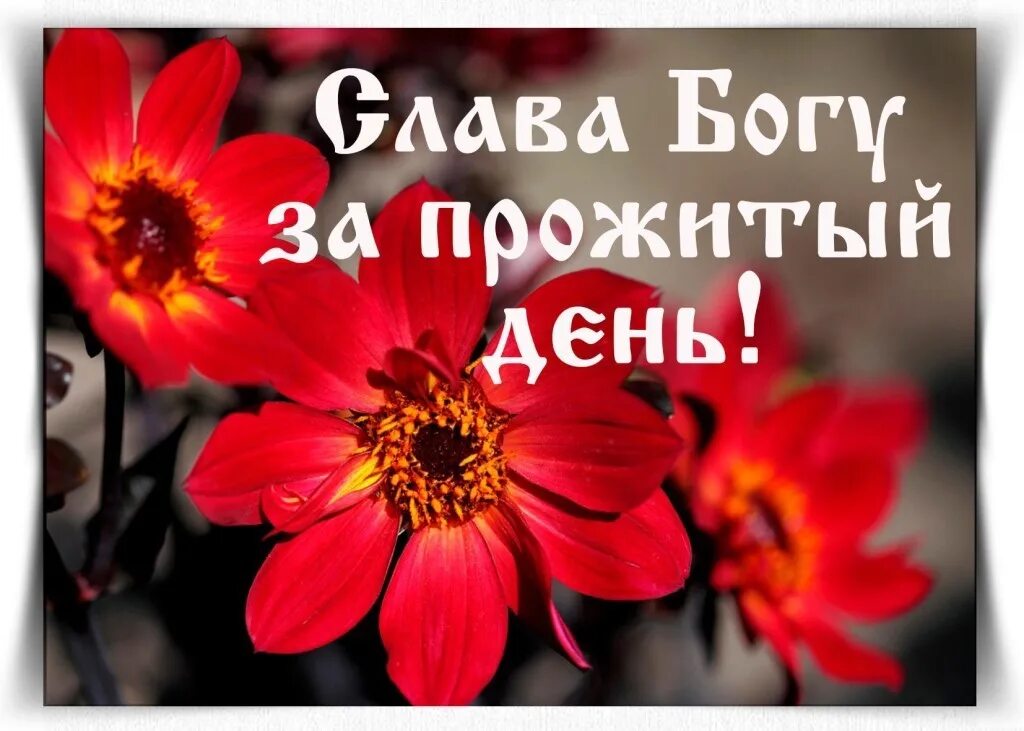 Спасибо за прожитый день. Спасибо Господу за прожитый день. Спасибо Богу за прожитый день. Слава Богу за прожитый день. Благодарность Господу за прожитый день.