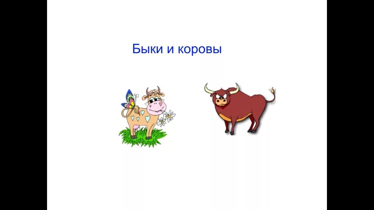 Бык число. Быки и коровы игра. игра с числами быки и коровы. быки и коровы игра на бумаге. корова и бык.
